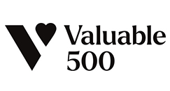 DEI Valuable 500