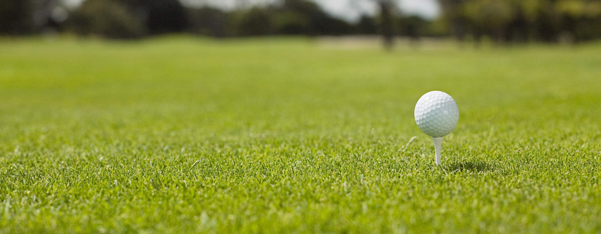 Unisys Golf Sponsorship Program
