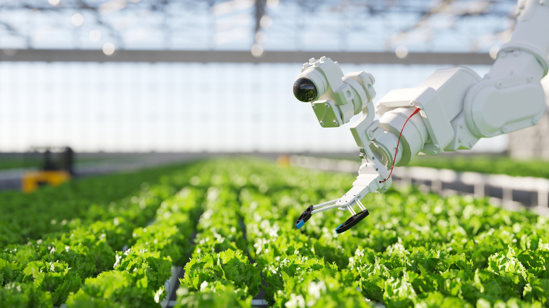 Six steps to bringing device life cycle discipline to IoT management
