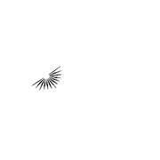 Air  India Logo