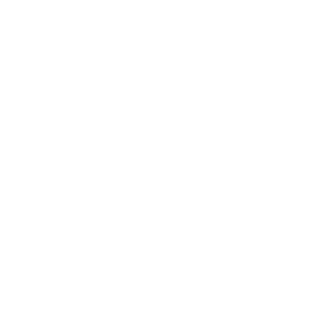 Beijing Capital International Airport Logo