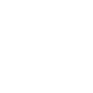 Board of Airline Representatives of Australia Logo