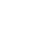 BT Global Services Logo