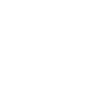 Ciaxe Economica Federal Logo