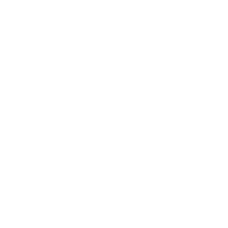 European Union IPO  Euipo Logo