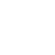 Genuine Parts Company Logo