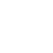 Globe Life - small light logo