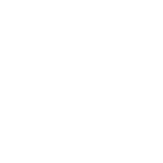Grupo Petersen Logo