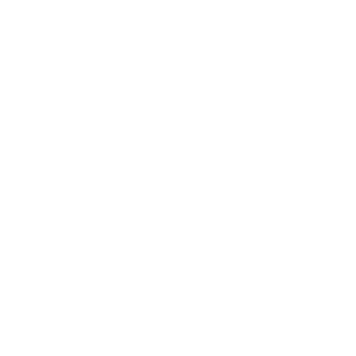 Guangzhou Baiyun Intl Airport Logo