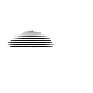 Instituto Nacional De Seguros Logo
