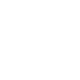 Iter Logo