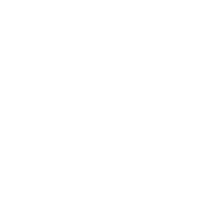 Maimonides Medical Center Logo