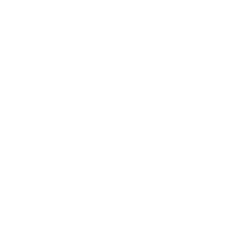 Swiss Ministry of Land Border Control