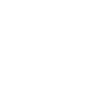 Waka Kotahi New Zealand Transport Agency Logo