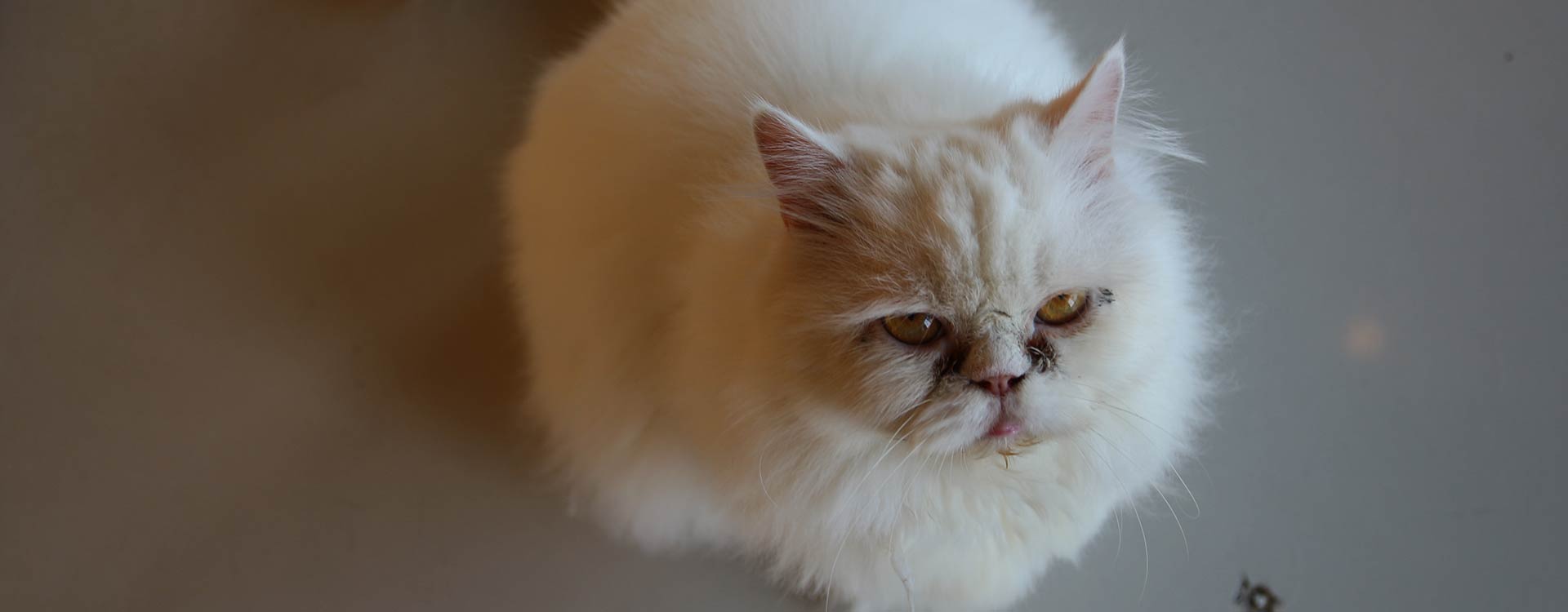 Happy Workers Happy Customers - Hero