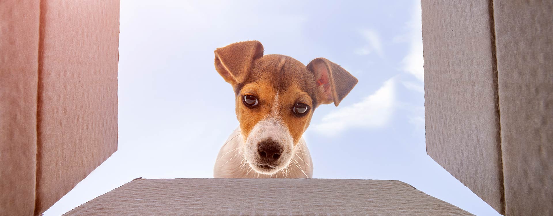 The Top 5 Stories from The Digital Workplace - OG